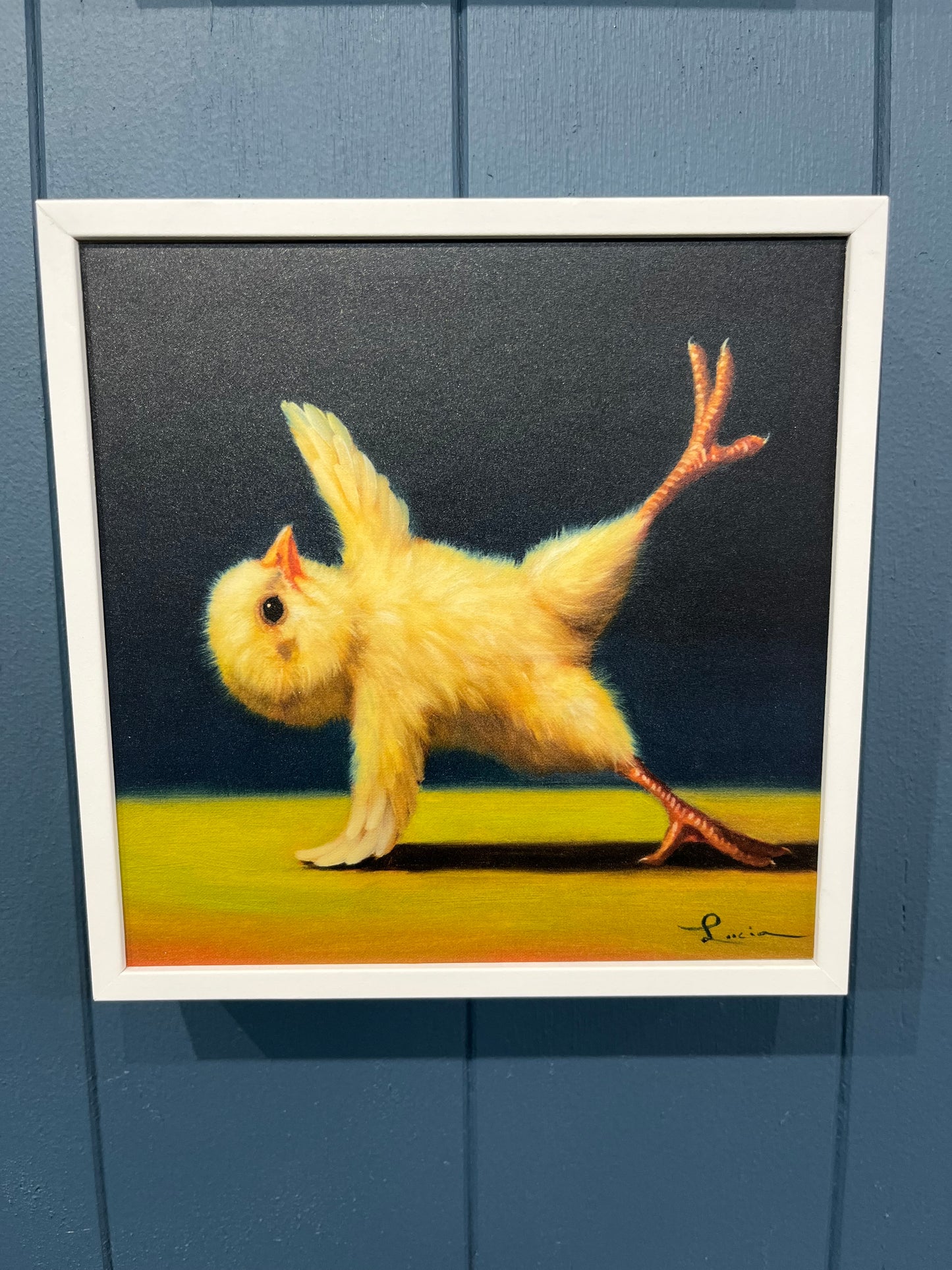 Yoga Chicks - Side Plank II