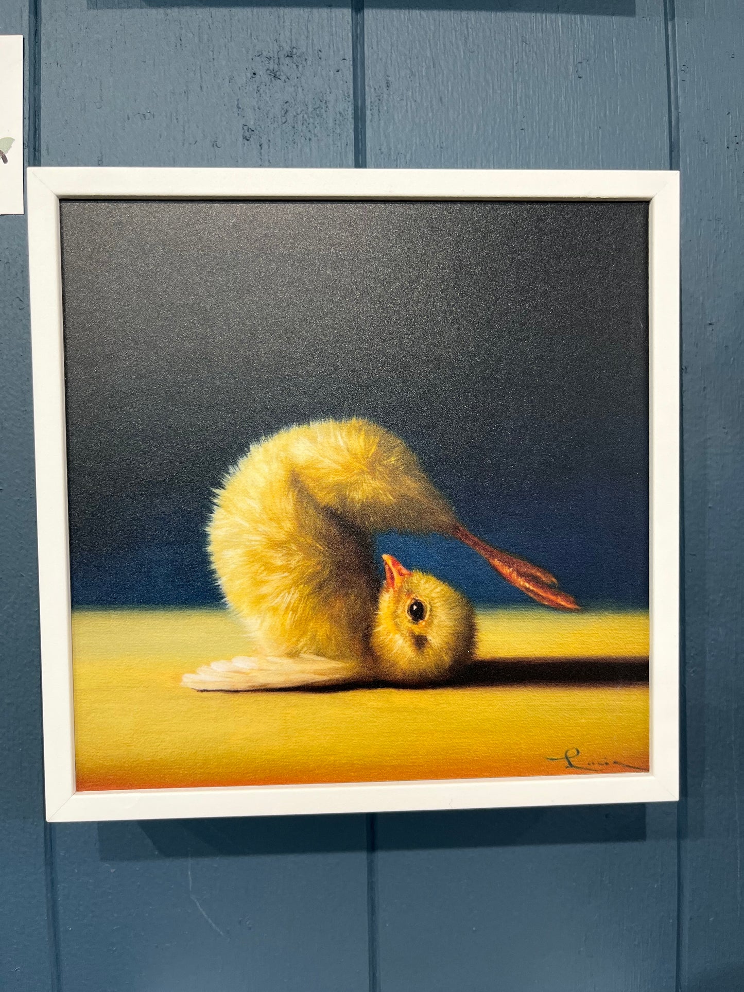 Yoga Chicks - Plow Pose