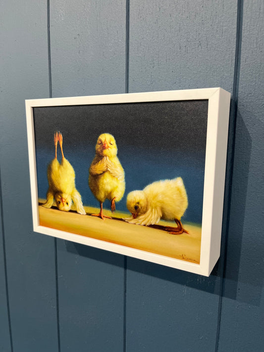 Yoga Chicks - Three Chicks - Lucia Heffernan
