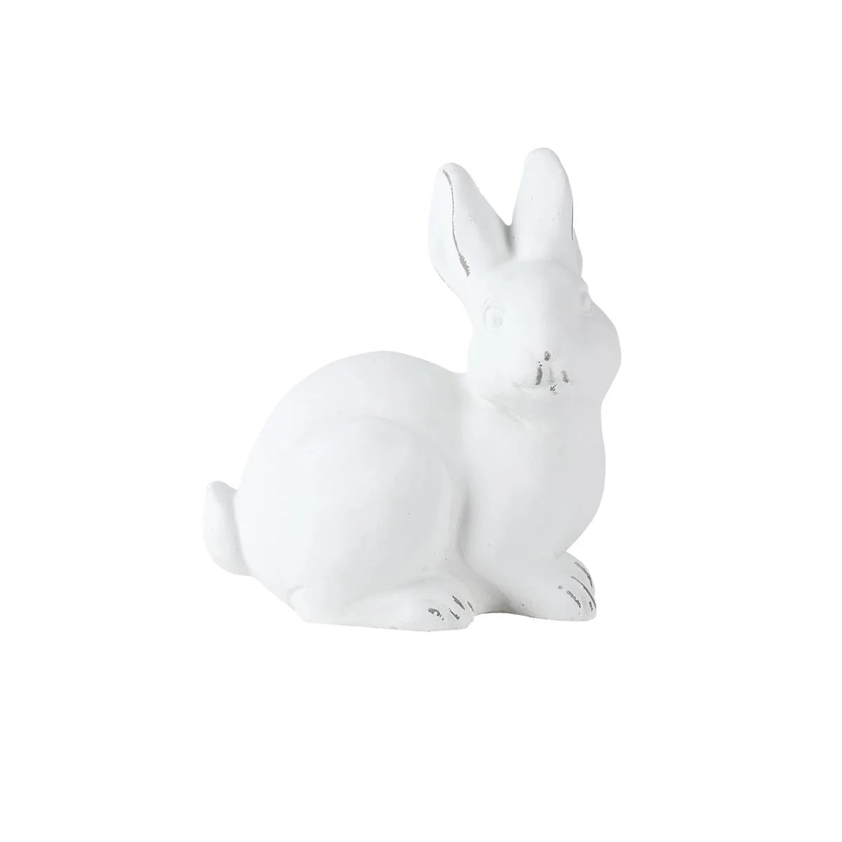 Baby Bunny -Turning