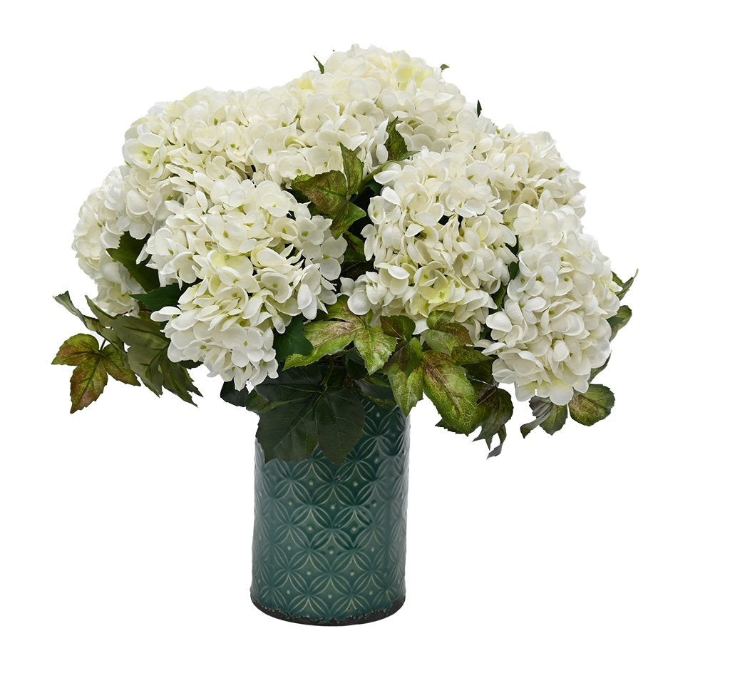 Juliette Hydrangea - White