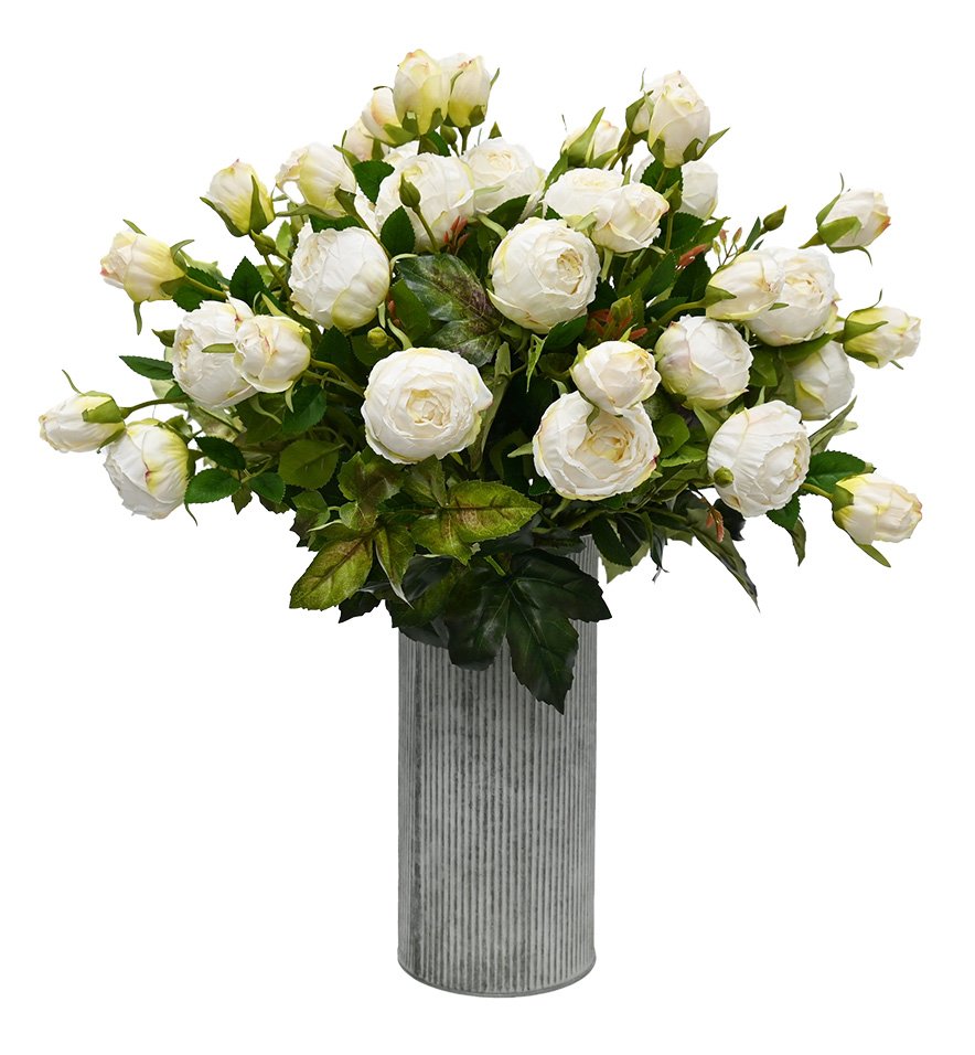 Vintage Peony - White