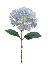 Eton Hydrangea - Baby Blue