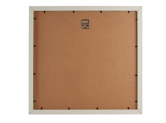 Splosh First Year Frame