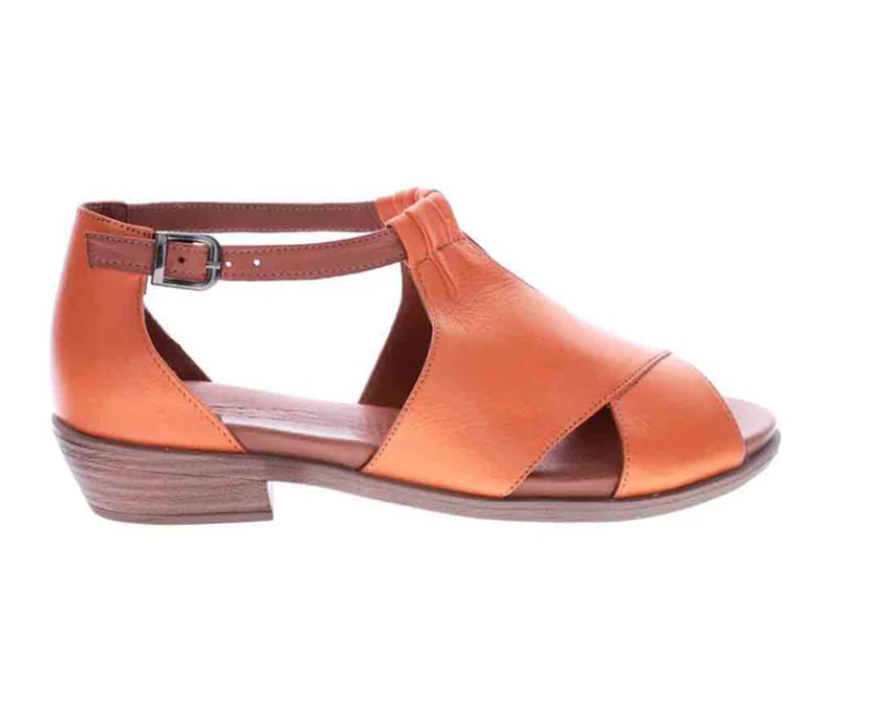 Le Sansa Digby - Orange/Tan