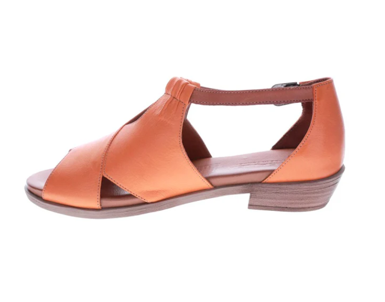 Le Sansa Digby - Orange/Tan