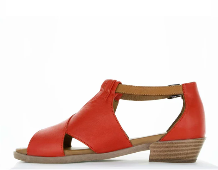 Le Sansa Digby - Red/Tan