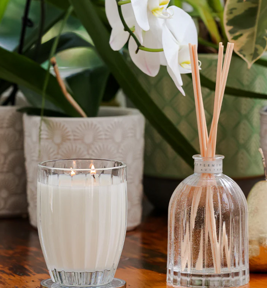 Peppermint Grove Fragrance Diffuser 350ml - Gardenia