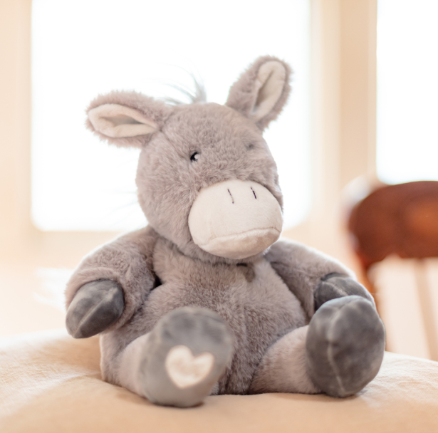 Toasty Hugs Diego Donkey