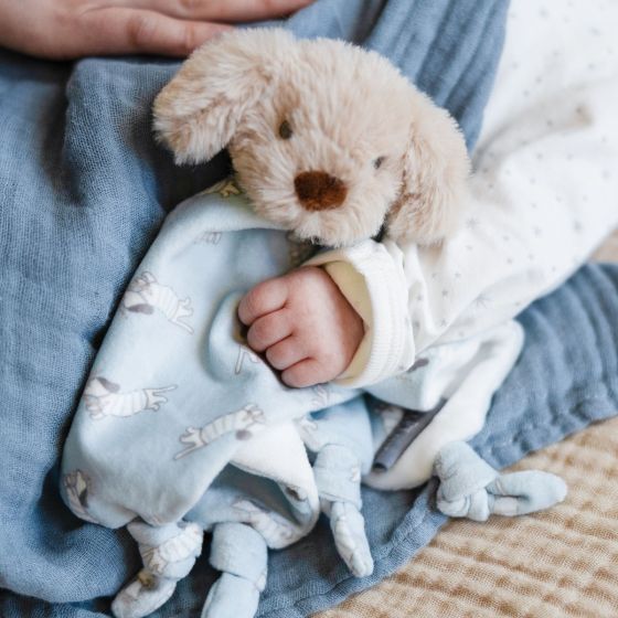 Barklife Dog Lovey - Little Linen Company