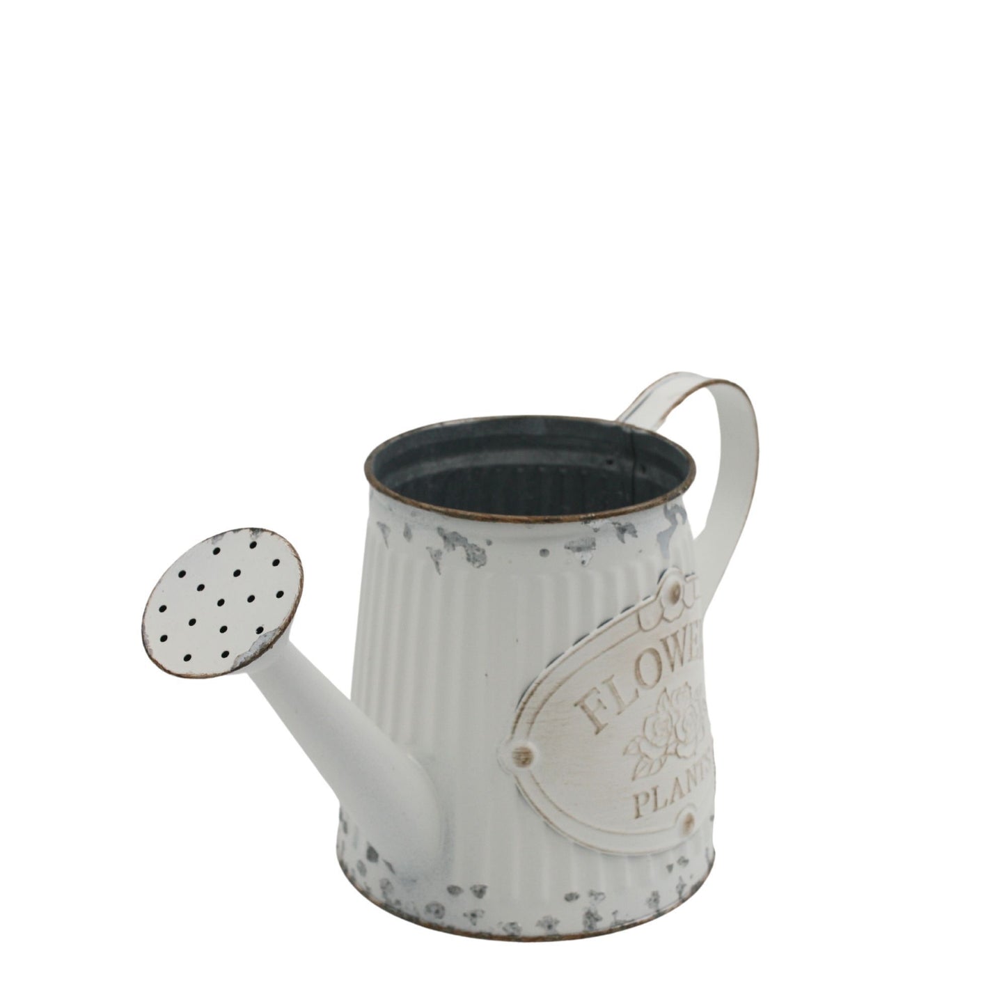 Country Watering Can