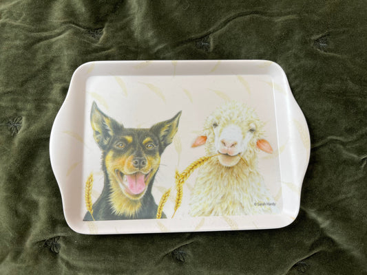 Farmyard Faces Scatter Tray