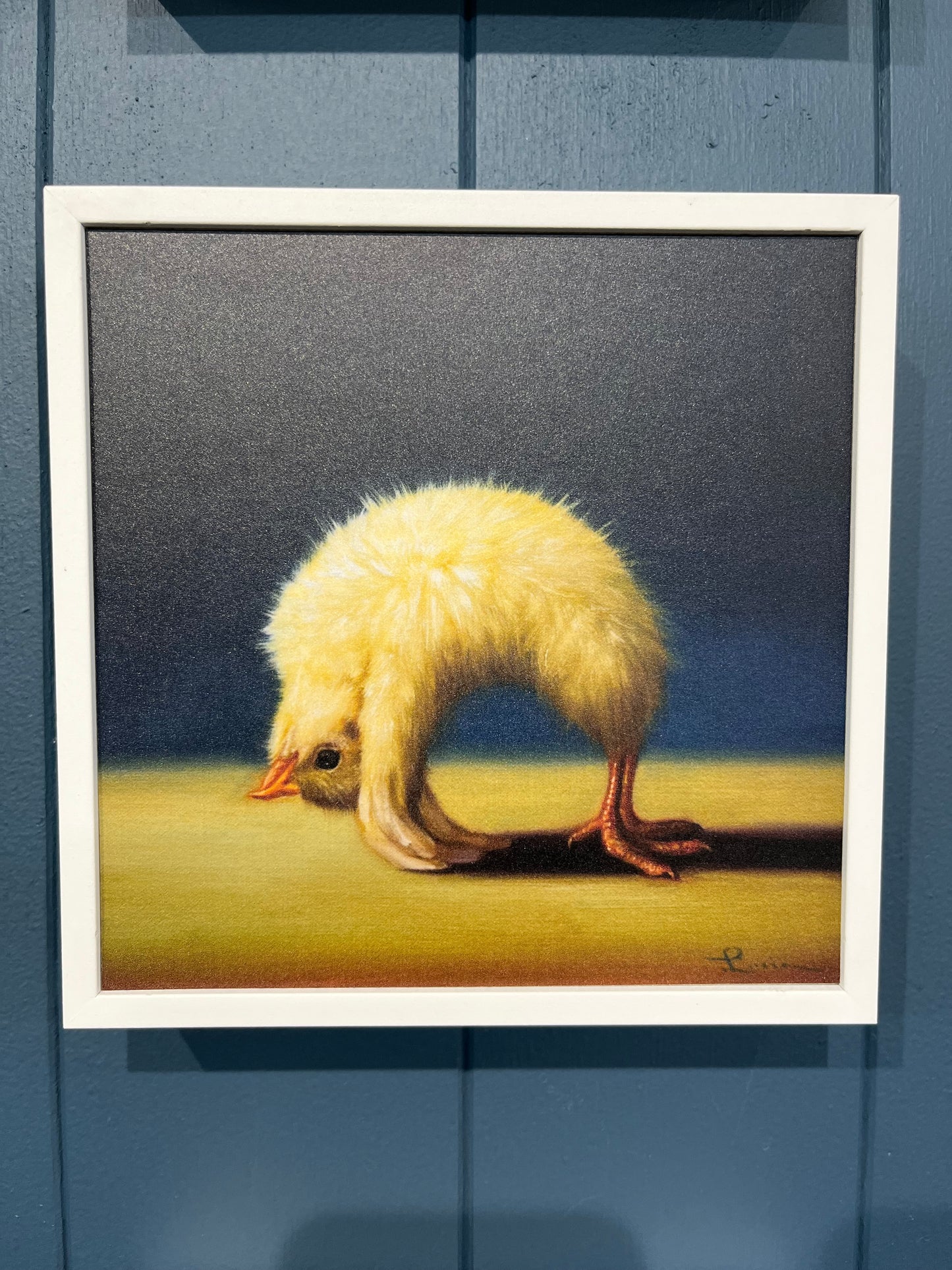 Yoga Chicks - Upward Bow