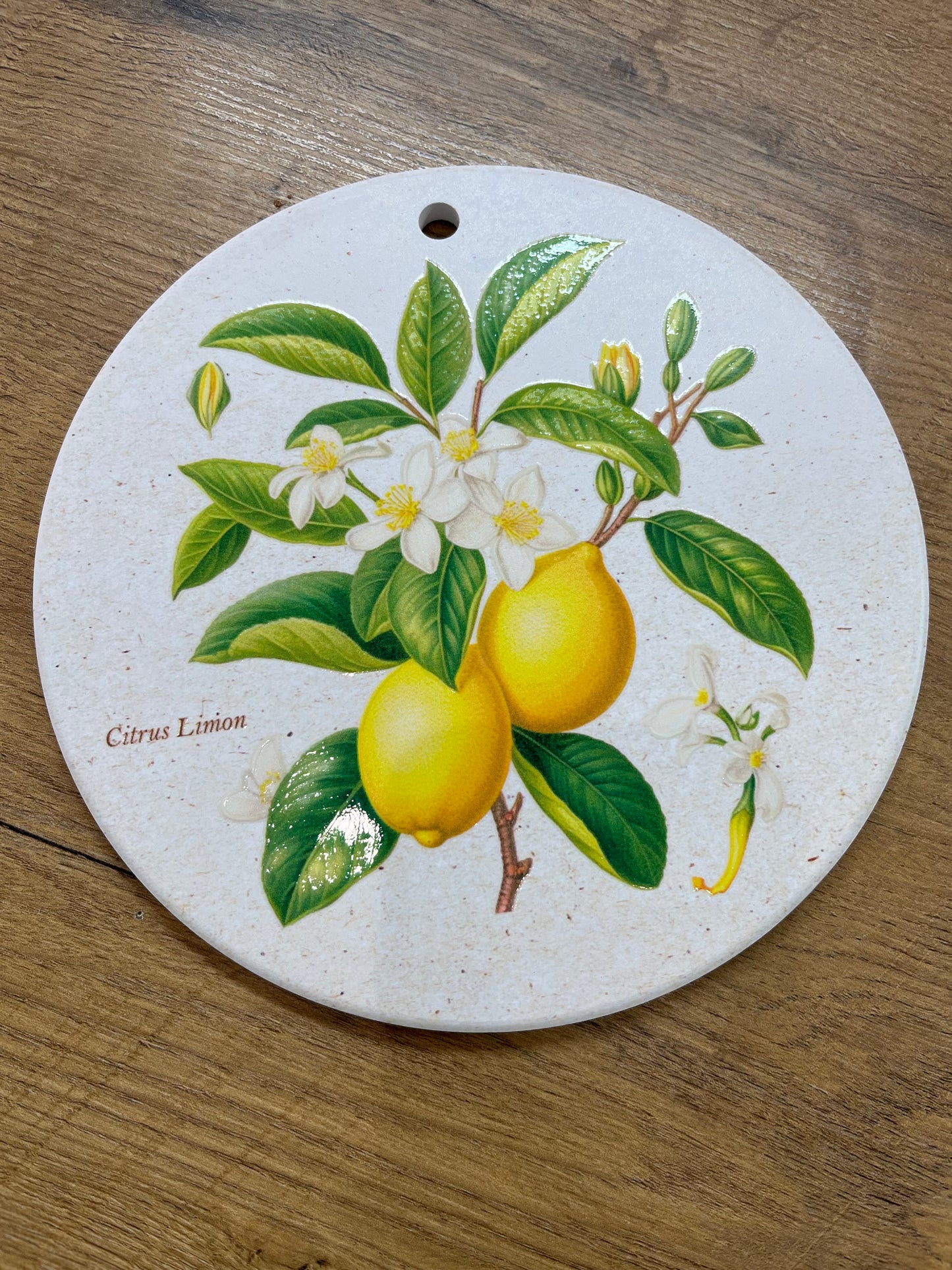 Wall Plaque/Trivet - Lemon