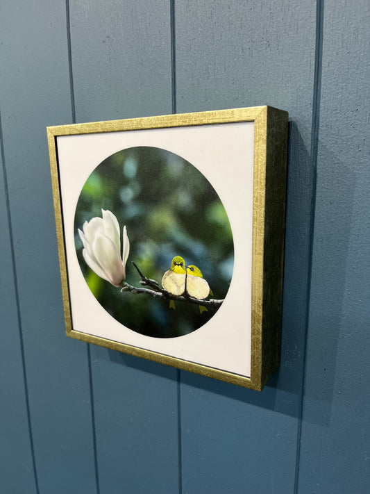 Framed Print SILVEREYE - Melina van Wyk