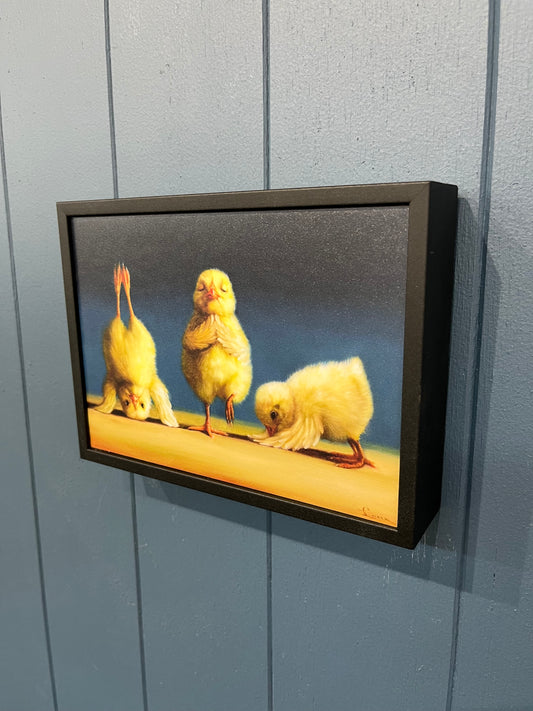 Yoga Chicks - Three Chicks - Lucia Heffernan