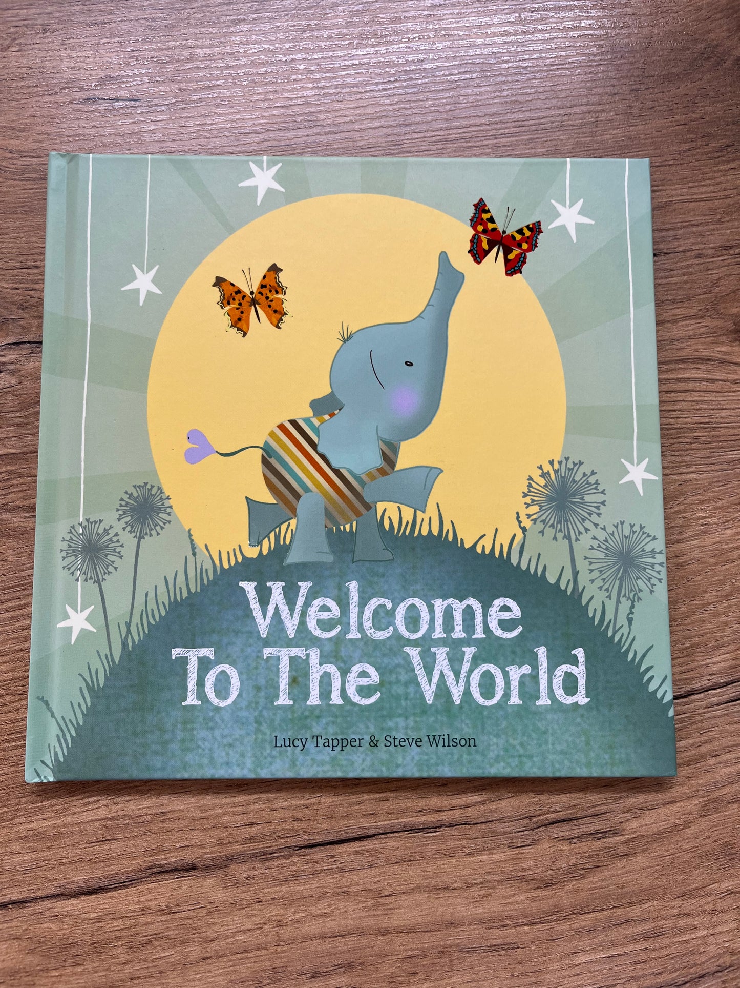 Welcome to the World by Lucy Tapper and Steve Wilson