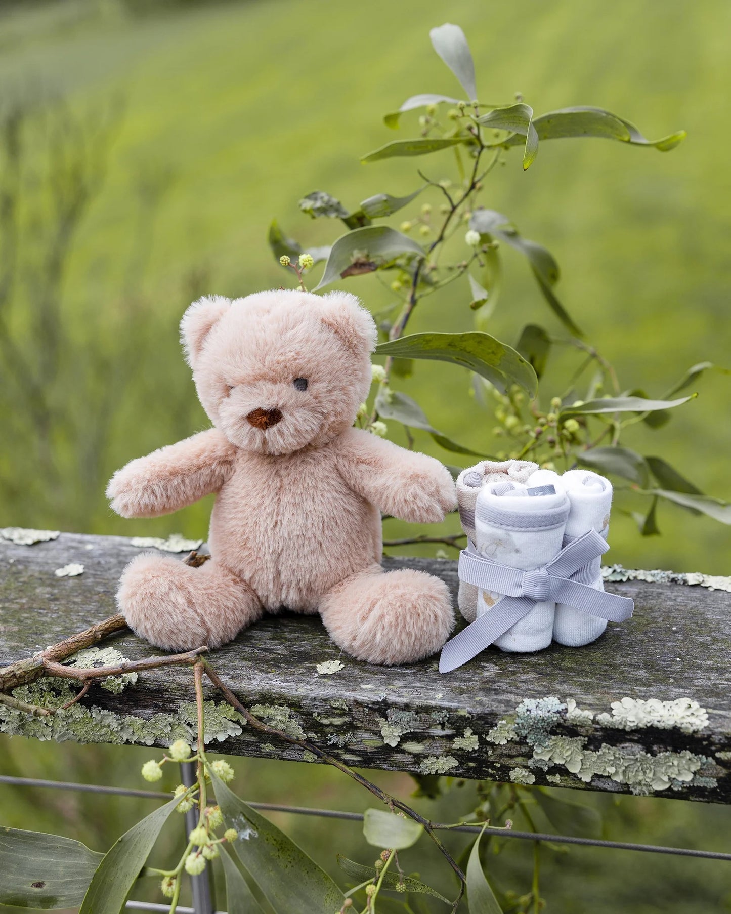 Soft Plush Baby Toy & Face Washers - Nectar Bear