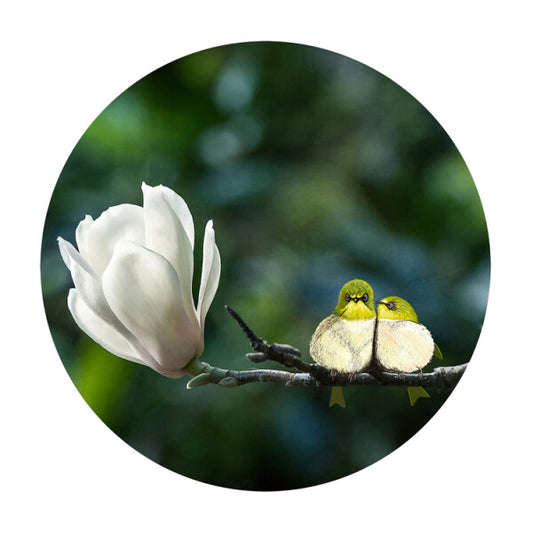 Framed Print SILVEREYE - Melina van Wyk