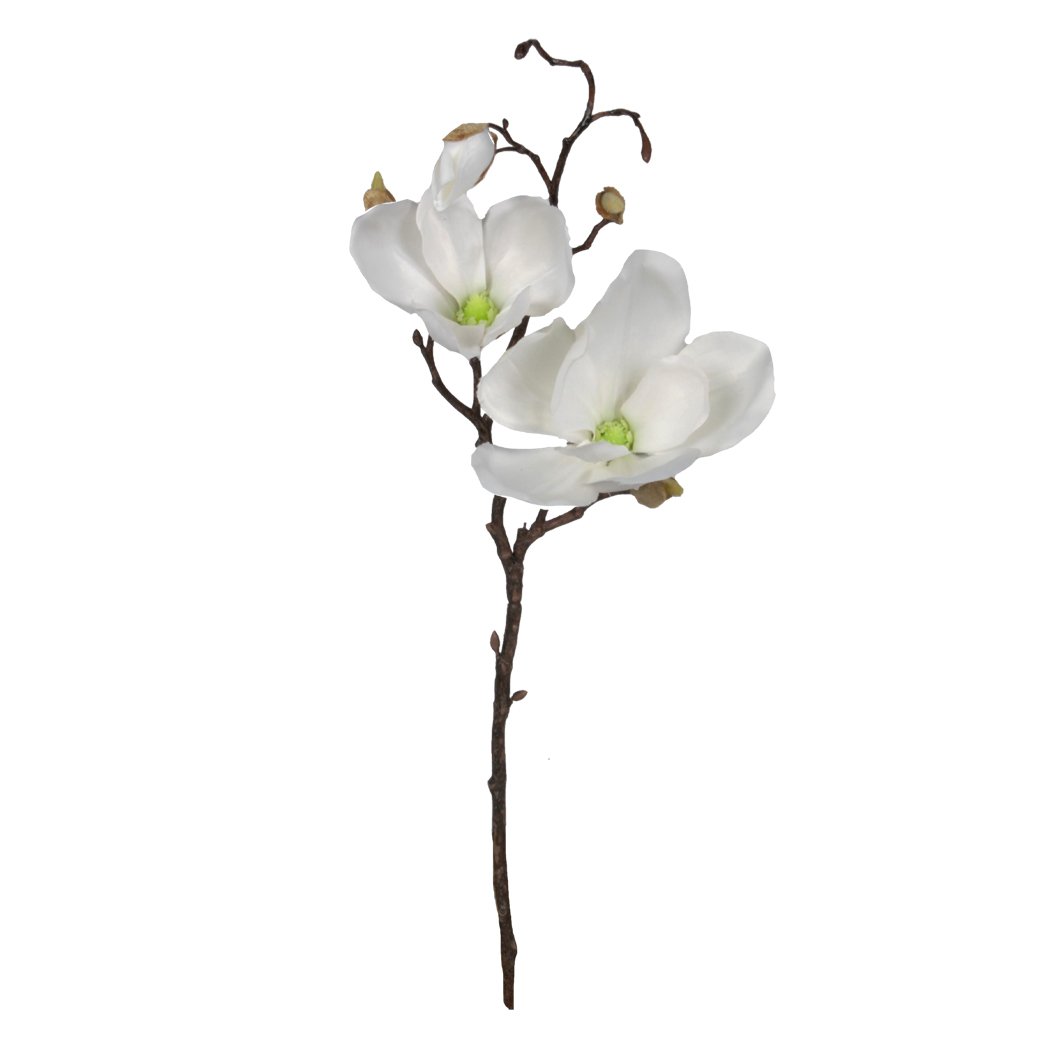 Spring Magnolia - Ice White