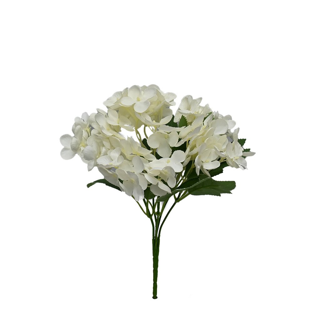 Hortensia - White