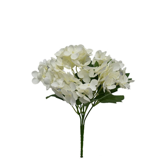 Hortensia - White