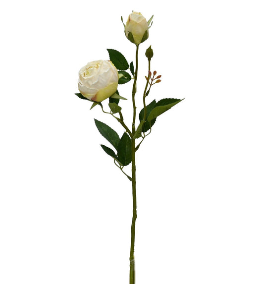 Vintage Peony - White