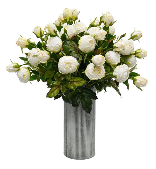 Vintage Peony - White