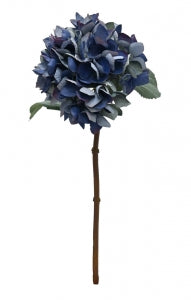 Somerset Hydrangea - Double Blue