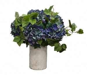 Somerset Hydrangea - Double Blue