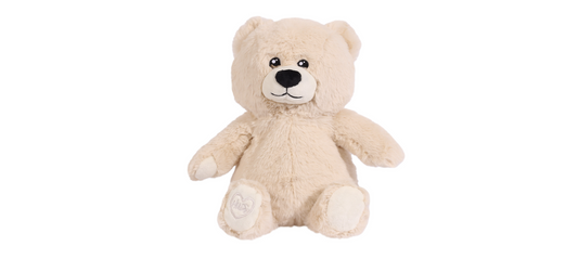 Toasty Hugs Bobby Bear
