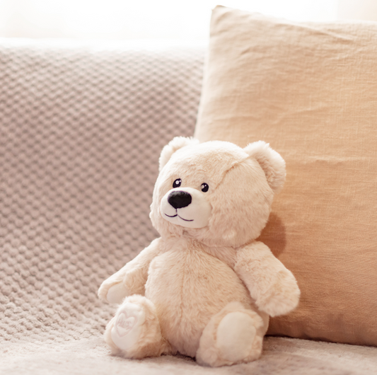 Toasty Hugs Bobby Bear