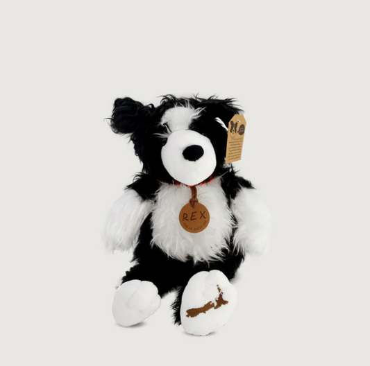 Rex the NZ sheep dog