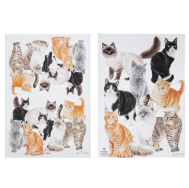 Purrrfect Moments 2pk Kitchen Towel