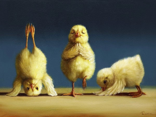 Three Yoga Chicks -  by Lucia Heffernan