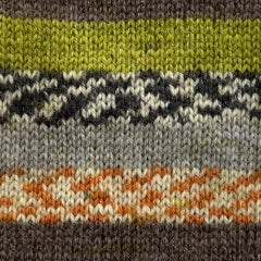 Crucci  Sock Yarn Kit - Child