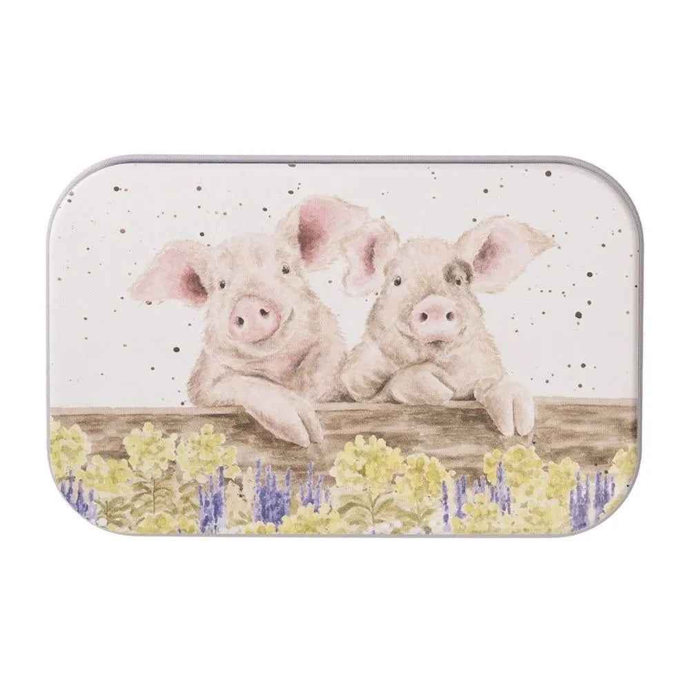 Wrendale Mini Tin - Nosey Neigh Boars